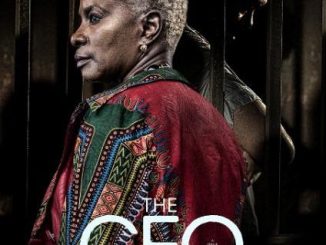 The CEO (2016) Movie Review